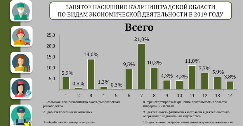 Занятое население Калининградской области по видам экономической деятельности в 2019 году